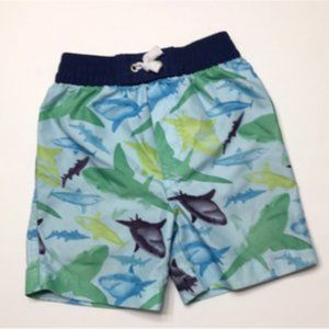 4/$20 Shark swimsuit size 2T xox